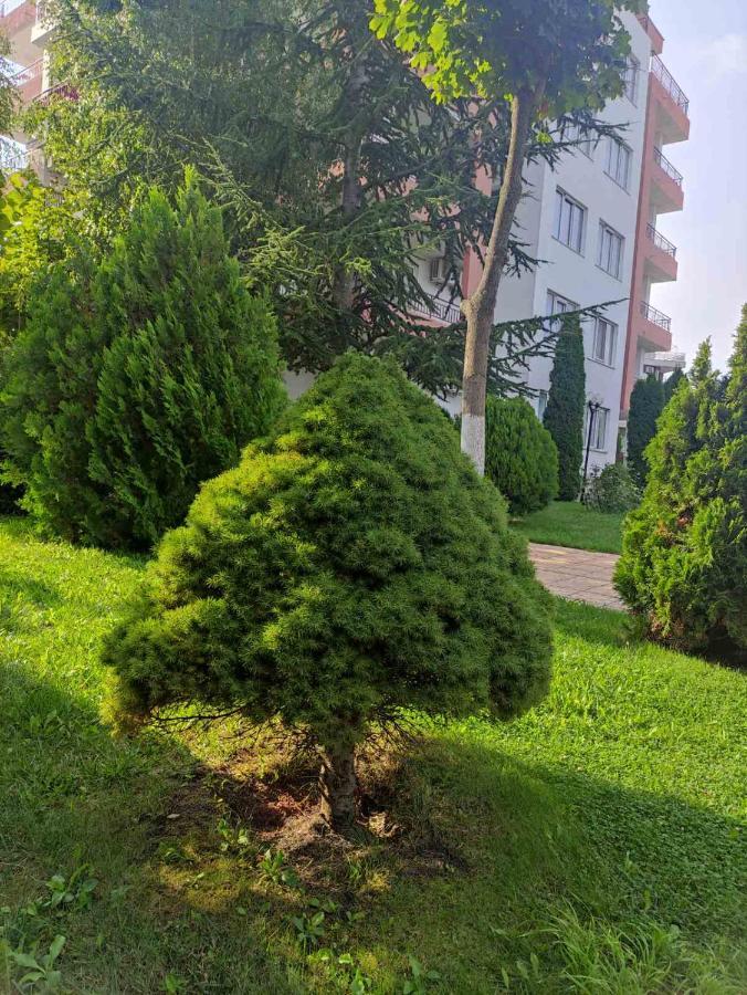 Ravda Sea View Apartment Exterior foto